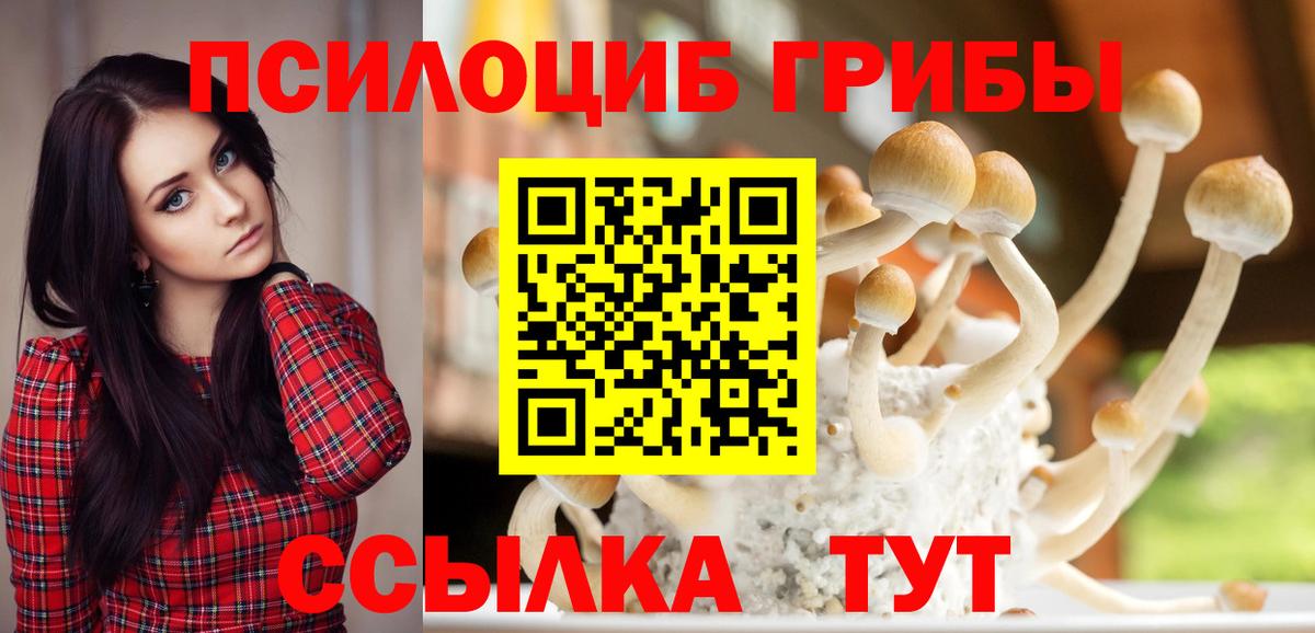 Галлюциногенные грибы Cubensis  Вход с VPN  Белая Калитва 